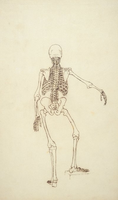 Studie der menschlichen Figur, hintere Ansicht, aus 